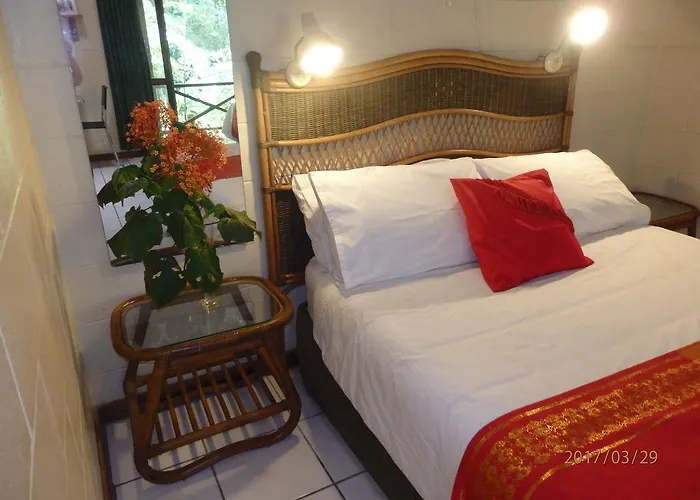 Daintree Deep Forest Lodge