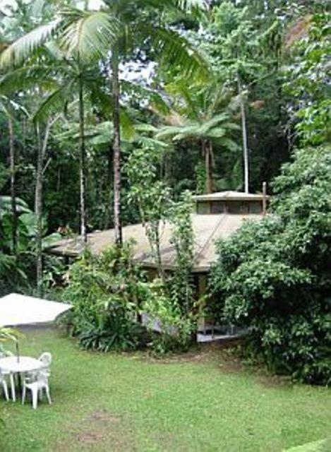 Daintree Deep Forest * Cape Tribulation