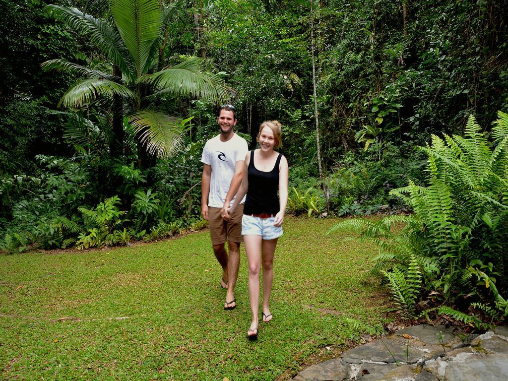 Lodge Daintree Deep Forest *