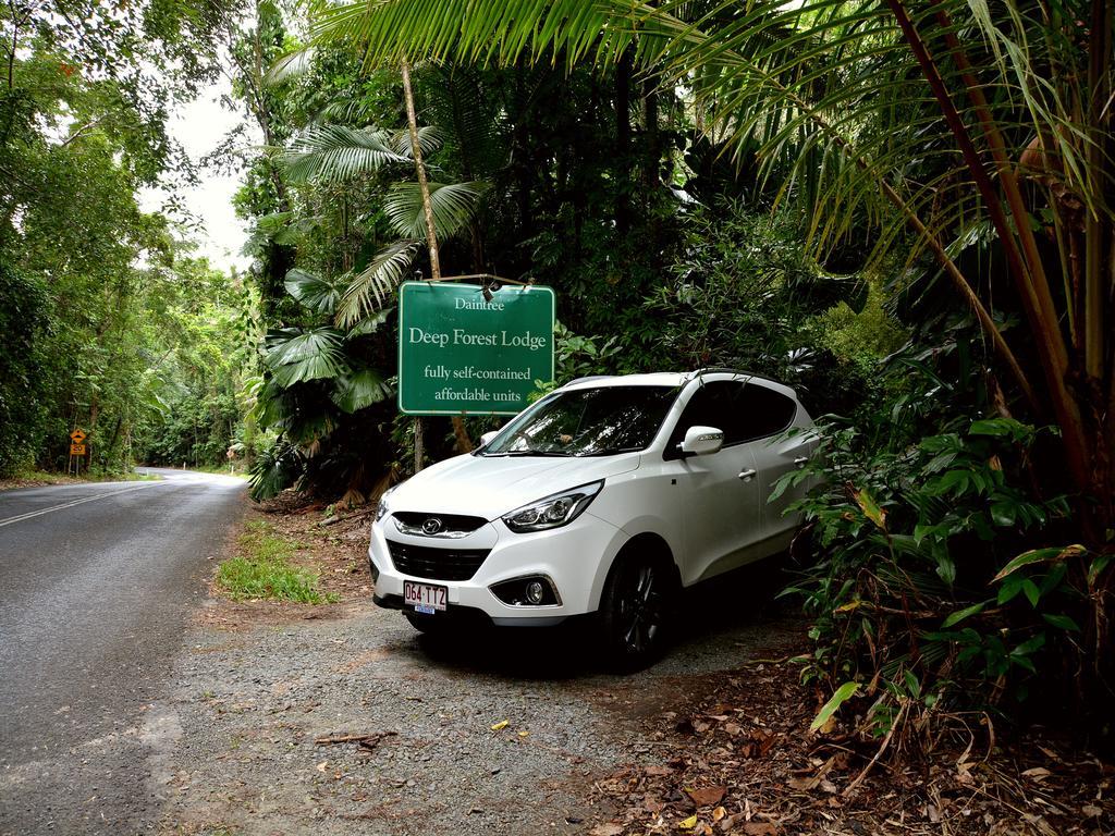 Lodge Daintree Deep Forest