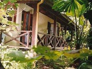 Daintree Deep Forest Lodge *